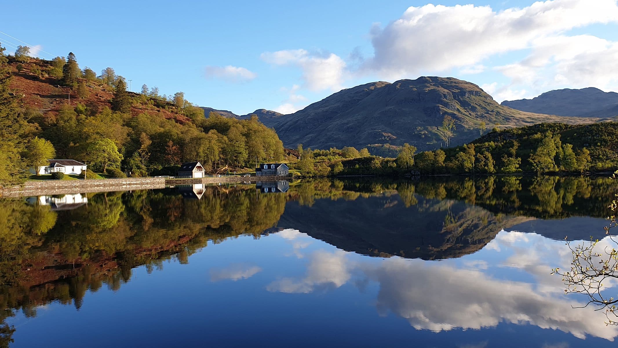 20190511_070222 1.jpg